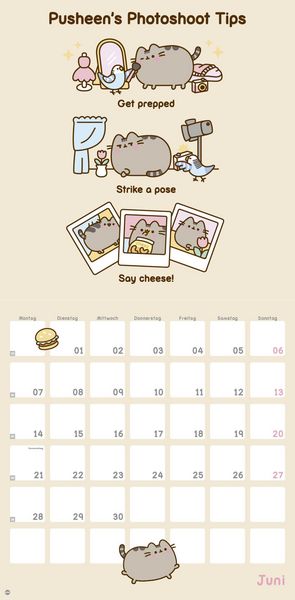 Produktbild: Pusheen Broschurkalender