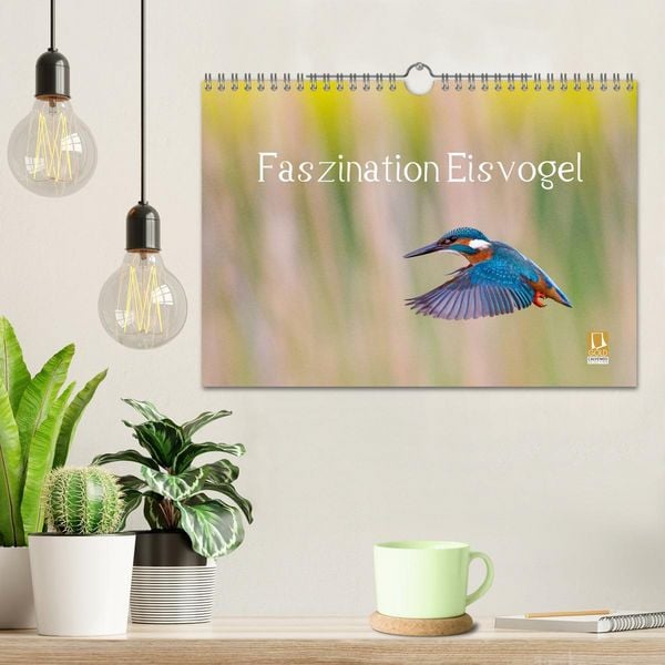 Produktbild: Faszination Eisvogel (Wandkalender 2026 DIN A4 quer), CALVENDO Monatskalender