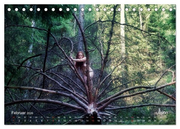 Produktbild: ZAUBERWALD Mystik der Natur (Tischkalender 2026 DIN A5 quer), CALVENDO Monatskalender