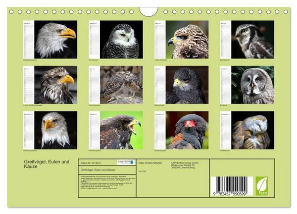 Produktbild: Greifv&ouml;gel, Eulen und K&auml;uze (Wandkalender 2026 DIN A4 quer), CALVENDO Monatskalender