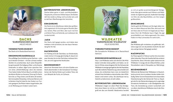 Produktbild: Forst erkl&auml;rt: Warum wir den Wald brauchen &ndash; und er uns