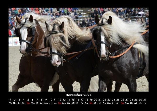 Produktbild: Die Welt der Pferde 2027 Fotokalender DIN A3