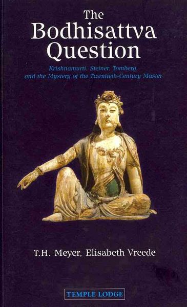 Produktbild: The Bodhisattva Question