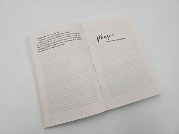 Produktbild: Lieber mit dem Kopf durch die Wand als gar kein Durchblick