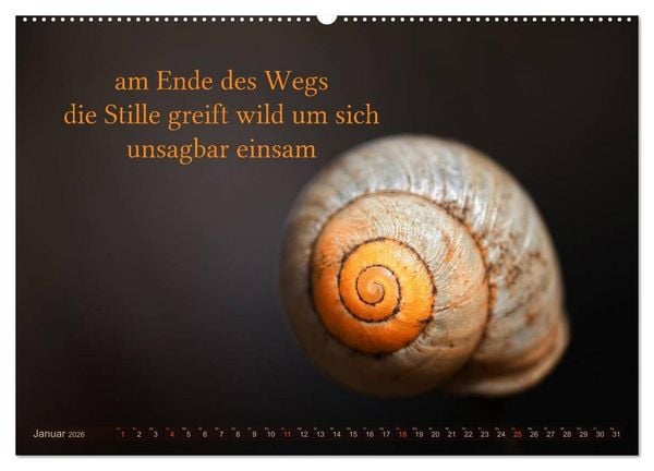 Produktbild: Haiku - Gedichte in 17 Silben (Wandkalender 2026 DIN A2 quer), CALVENDO Monatskalender