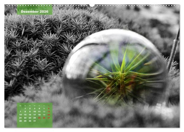Produktbild: Die bunte Welt in der Kugel - neue Blickwinkel (Wandkalender 2026 DIN A2 quer), CALVENDO Monatskalender