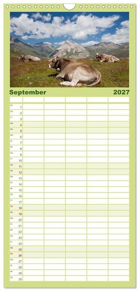 Produktbild: Familienplaner 2027 - Tierkalender 2027 mit 5 Spalten (Wandkalender, 21 x 45 cm) CALVENDO
