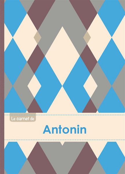 Produktbild: Le carnet d antonin lignes, 96p,