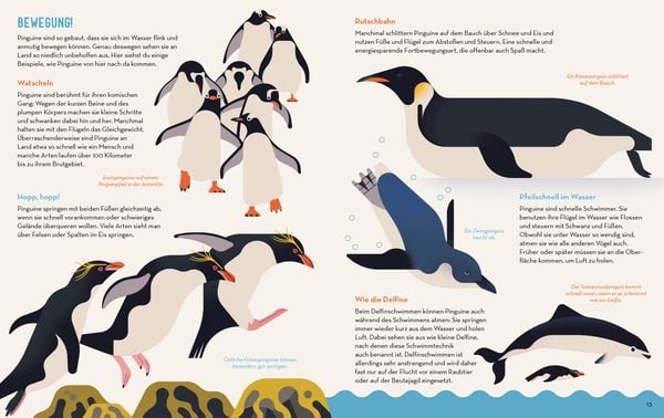 Produktbild: Die gro&szlig;e Pinguinparade