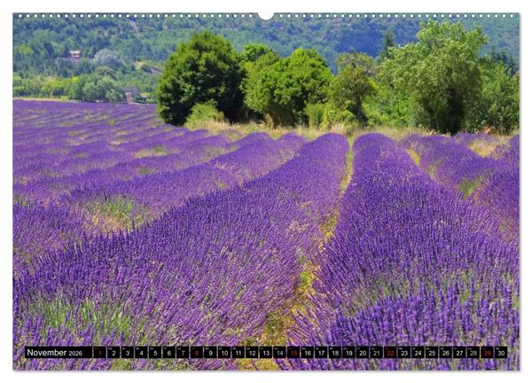 Produktbild: Lavendel (hochwertiger Premium Wandkalender 2026 DIN A2 quer), Kunstdruck in Hochglanz