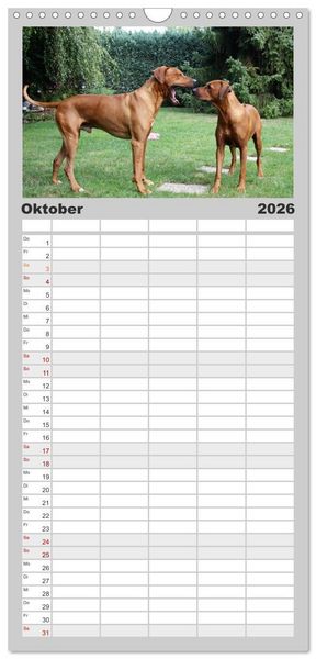 Produktbild: Familienplaner 2026 - Rhodesian Ridgeback - Moments mit 5 Spalten (Wandkalender, 21 x 45 cm) CALVENDO