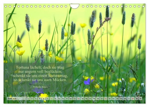 Produktbild: Weises (Wandkalender 2026 DIN A4 quer), CALVENDO Monatskalender