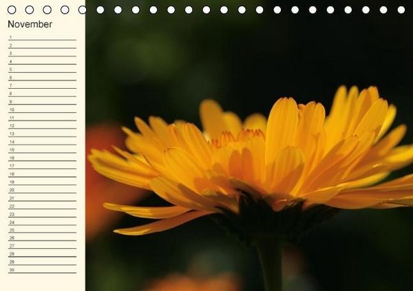 Produktbild: Geburtstagskalender "Nette Kleinigkeiten" (Tischkalender immerw&auml;hrend DIN A5 quer)