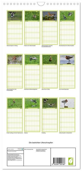 Produktbild: Familienplaner 2027 - Die bedrohten Uferschnepfen mit 5 Spalten (Wandkalender, 21 x 45 cm) CALVENDO