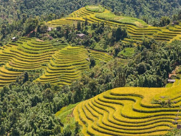 Produktbild: CALVENDO Puzzle Reisterrassen, Hoang Su Phi, Vietnam | 1000 Teile Lege-Gr&ouml;&szlig;e 64x48cm Foto-Puzzle f&uuml;r gl&uuml;ckliche Stunden