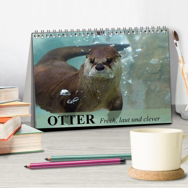 Produktbild: Otter. Frech, laut und clever (Tischkalender 2026 DIN A5 quer), CALVENDO Monatskalender