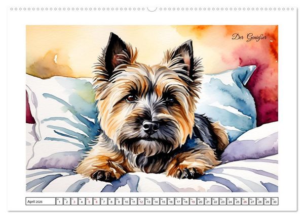 Produktbild: Hundetr&auml;ume (Wandkalender 2026 DIN A2 quer), CALVENDO Monatskalender