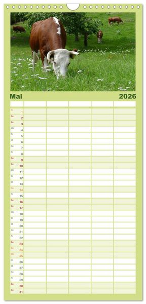 Produktbild: Familienplaner 2026 - Weiderinder im Frankenwald mit 5 Spalten (Wandkalender, 21 x 45 cm) CALVENDO