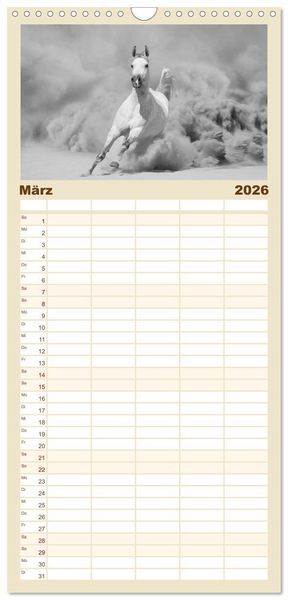 Produktbild: Familienplaner 2026 - Arabische Pferde mit 5 Spalten (Wandkalender, 21 x 45 cm) CALVENDO