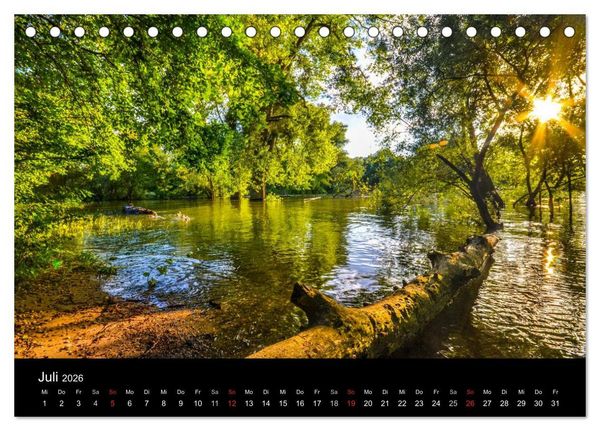 Produktbild: Mannheimer Waldpark (Tischkalender 2026 DIN A5 quer), CALVENDO Monatskalender