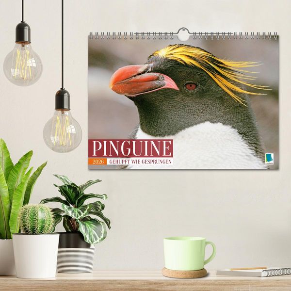 Produktbild: Pinguine: Gehupft wie gesprungen (Wandkalender 2026 DIN A4 quer), CALVENDO Monatskalender