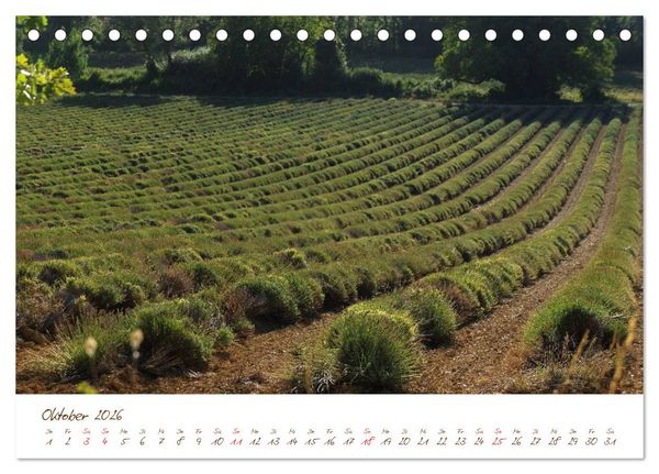 Produktbild: Provence, Frankreich (Tischkalender 2026 DIN A5 quer), CALVENDO Monatskalender