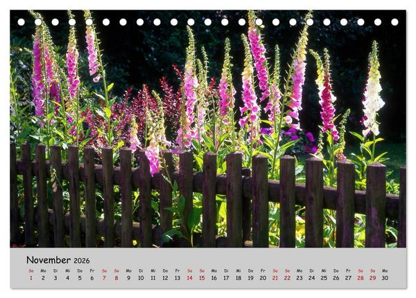Produktbild: Blumen &uuml;berall, zur Freude Menschen (Tischkalender 2026 DIN A5 quer), CALVENDO Monatskalender