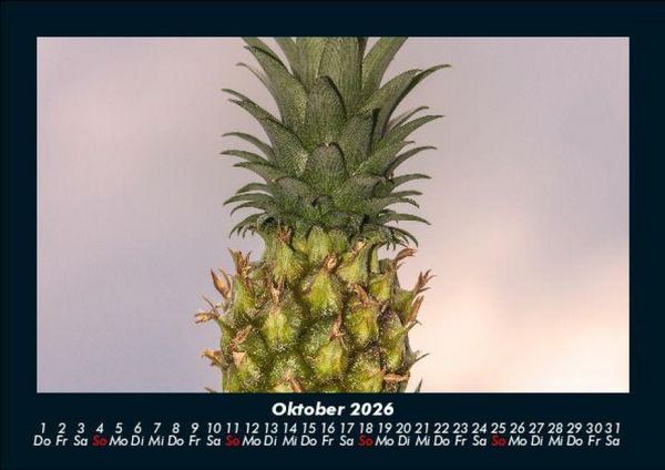 Produktbild: Obstkalender 2026 Fotokalender DIN A5