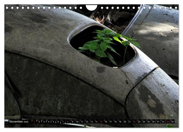 Produktbild: Autowracks - rostende Liebe (Wandkalender 2026 DIN A4 quer), CALVENDO Monatskalender
