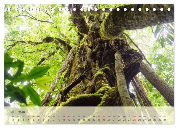 Produktbild: Bekanntes und Unbekanntes Costa Rica (Tischkalender 2026 DIN A5 quer), CALVENDO Monatskalender
