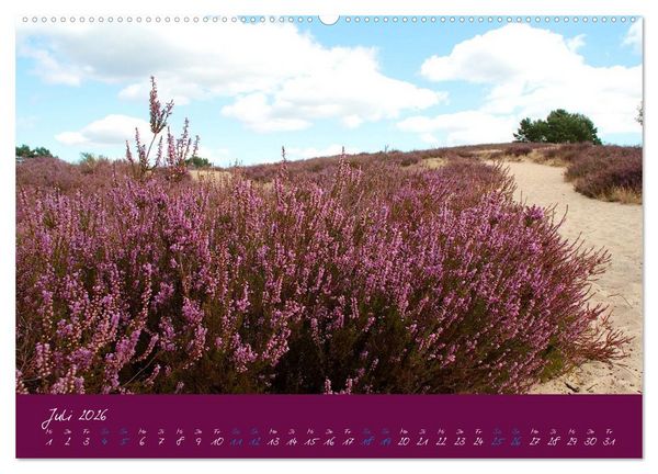 Produktbild: Die Nemitzer Heide - Im Wendland unterwegs (Wandkalender 2026 DIN A2 quer), CALVENDO Monatskalender