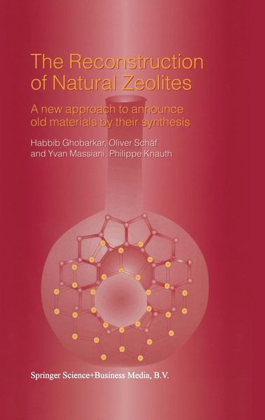 Produktbild: The Reconstruction of Natural Zeolites