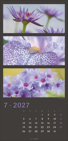 Produktbild: Die Farben der Natur Kalender 2027