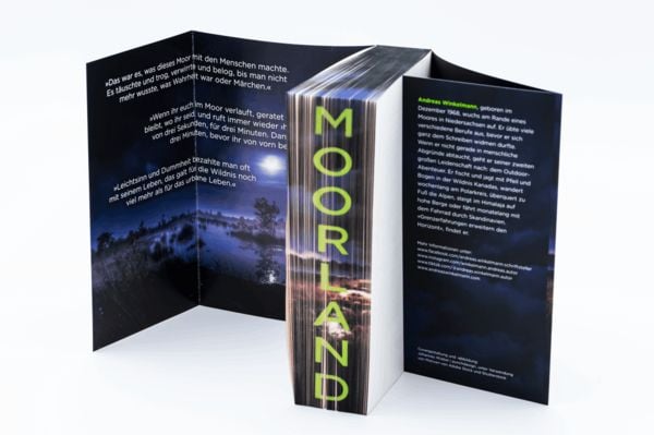 Produktbild: Moorland. Die Zwillinge