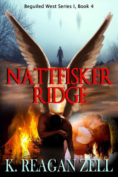 Produktbild: Nattfisker Ridge (Beguiled West Series 1: Book 4)