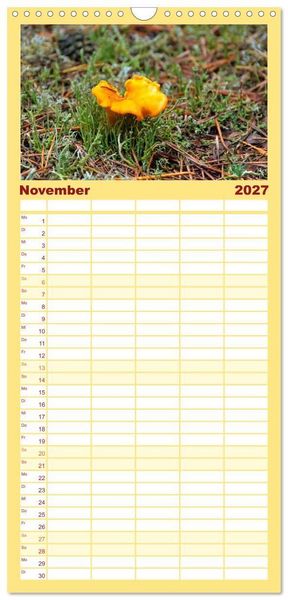 Produktbild: Familienplaner 2027 - Heimische Pilze mit 5 Spalten (Wandkalender, 21 x 45 cm) CALVENDO