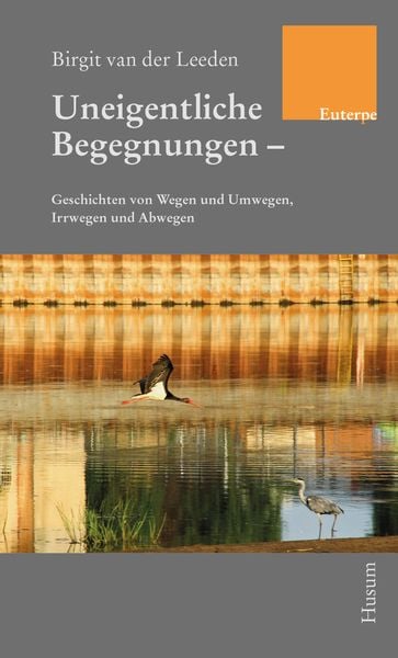 Produktbild: Uneigentliche Begegnungen