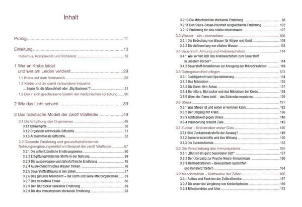 Produktbild: Krebs verstehen und ganzheitlich behandeln