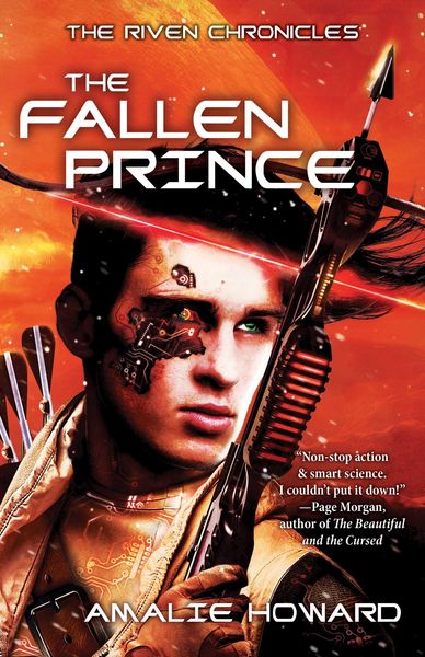 Produktbild: The Fallen Prince