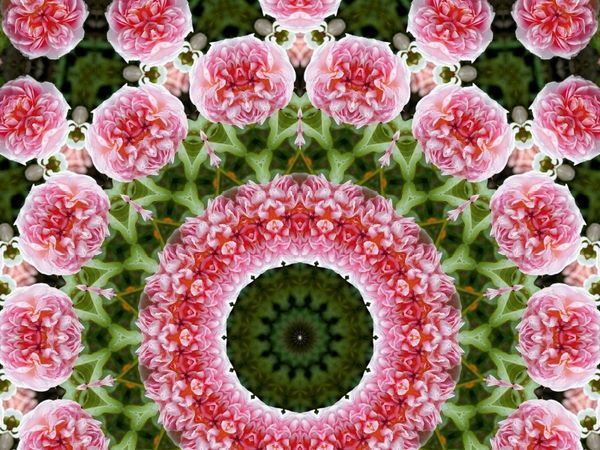 Produktbild: CALVENDO Puzzle Blumen Mandala - Kaleidoskop | 1000 Teile Lege-Gr&ouml;&szlig;e 64x48cm Foto-Puzzle f&uuml;r gl&uuml;ckliche Stunden