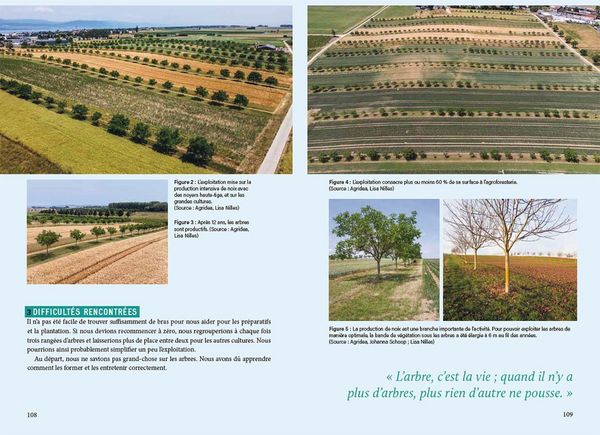 Produktbild: La pratique agroforesti&egrave;re en Suisse