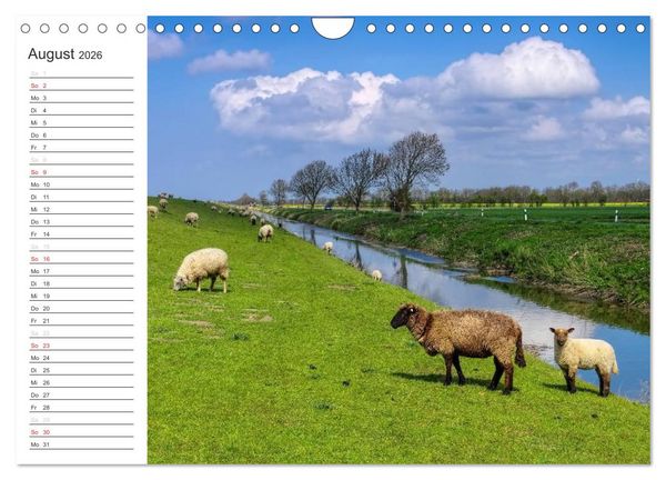 Produktbild: Ostfriesland - zwischen Watt und Moor (Wandkalender 2026 DIN A4 quer), CALVENDO Monatskalender