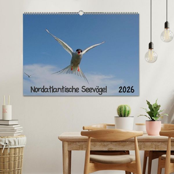 Produktbild: Nordatlantische Seev&ouml;gel (Wandkalender 2026 DIN A2 quer), CALVENDO Monatskalender