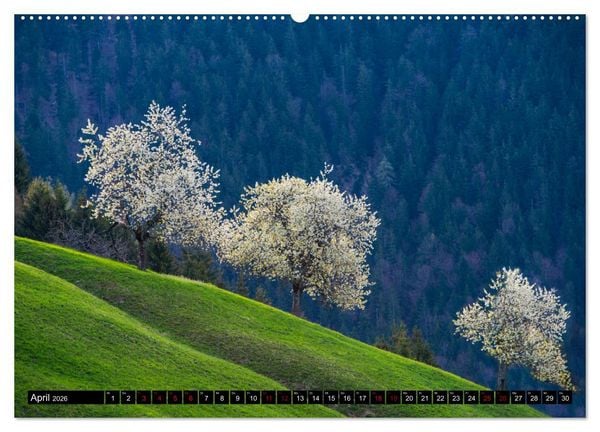 Produktbild: Alpen - Schweiz und Vorarlberg (Wandkalender 2026 DIN A2 quer), CALVENDO Monatskalender