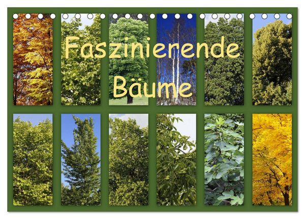 Produktbild: Faszinierende B&auml;ume (Tischkalender 2026 DIN A5 quer), CALVENDO Monatskalender
