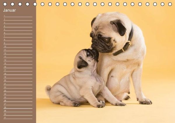 Produktbild: Ein Mops f&uuml;rs Herz (Tischkalender immerw&auml;hrend DIN A5 quer)