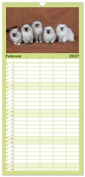 Produktbild: Familienplaner 2027 - Ragdoll Kitten mit 5 Spalten (Wandkalender, 21 x 45 cm) CALVENDO