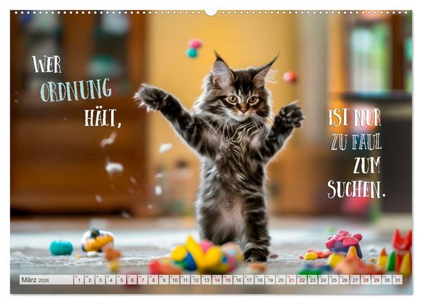 Produktbild: Katzenlogik - Wenn Blicke miauen k&ouml;nnten (hochwertiger Premium Wandkalender 2026 DIN A2 quer), Kunstdruck in Hochglanz