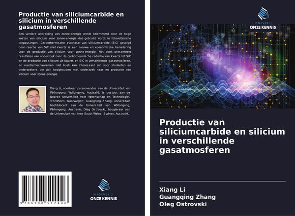 Produktbild: Productie van siliciumcarbide en silicium in verschillende gasatmosferen