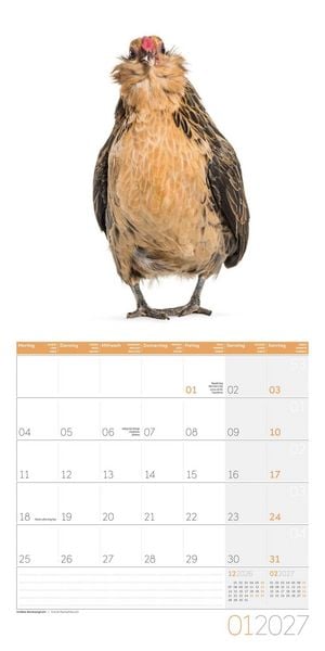 Produktbild: Verr&uuml;ckte H&uuml;hner Kalender 2027 - 30x30 - Art12
